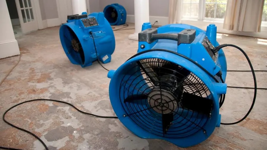 A Full Handbook To Water Removal: Tips And Techniques