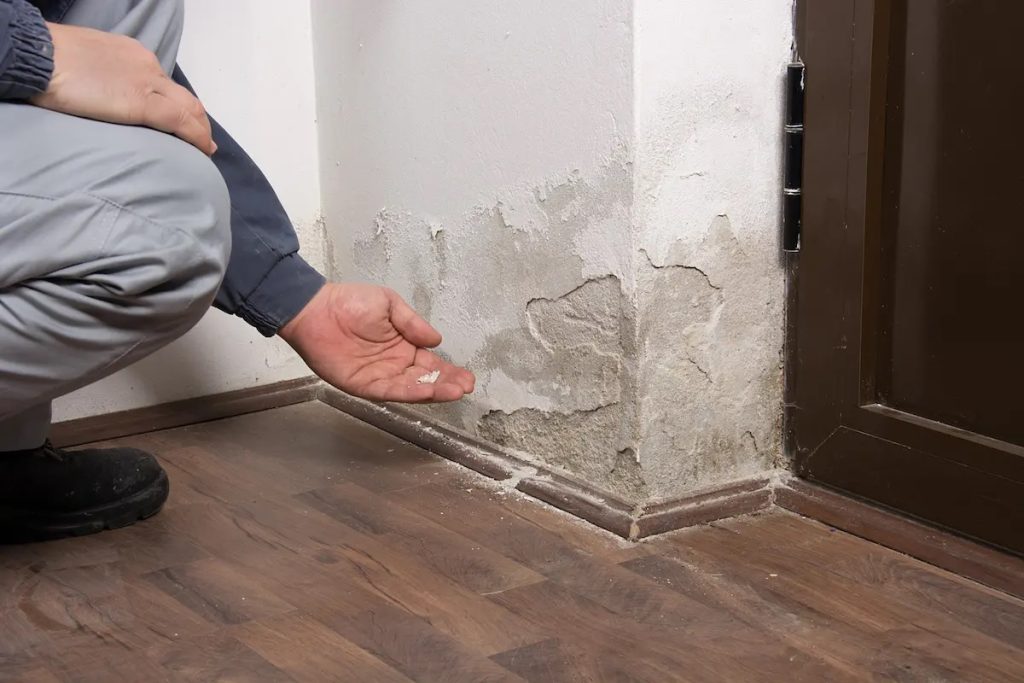 Restoring Your Home After Water Damage: Key Steps And Insights